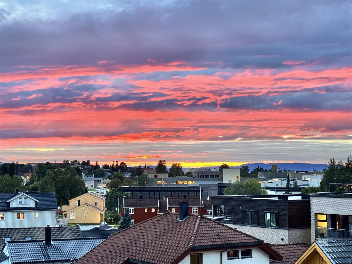 Selgers eget bilde. 